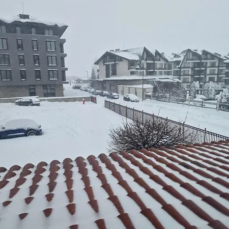 Azax In Terra Complex *